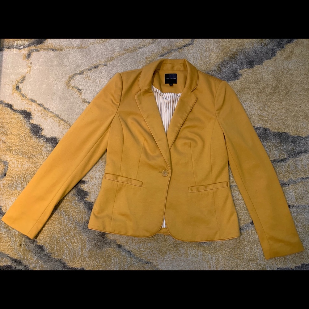 The Limited Blazer